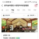 운악호스랜드 이미지