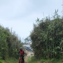 꽃바위 외국인 특화거리 이미지