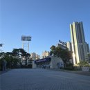 산호동156 | NC다이노스 X 조구만 콜라보 굿즈 3차 유니폼 후기 착샷 조구만데이 현장구매