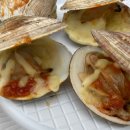 거제비타민씨 이미지