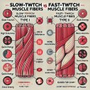 운동과학연구센터 이미지