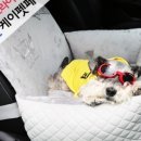 케이모찌 이미지