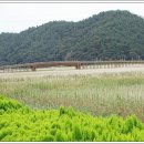 중도방죽 이미지