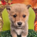 남평읍행정복지센터 이미지