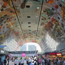 5374 | 네덜란드 건축여행 로테르담 시내투어와 진주귀고리 소녀가 있는 도시 헤이그 숙소 추천, 벨기에...