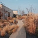 프로퍼밀도 이미지