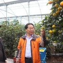 귤림하우스 이미지