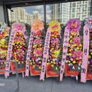 조앤조연합치과의원 이미지