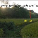 원치리 Daum카페