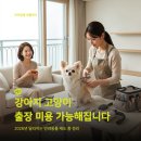 애니피아동물병원 동물미용업 | 반려동물 출장미용 드디어 가능? 2026 규제완화 총정리｜출장미용 가격·장단점·주의사항까지
