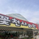 꽃천사화원 이미지