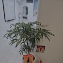 더수학교습소 이미지