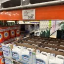 컬트세탁 이미지