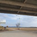 생태와대구 이미지