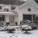 연하민박 이미지