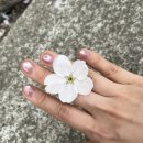 손싸롱네일 | 서울대입구역 네일샵 네일옹드 자석젤 단독룸 시술 가능한곳