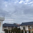 [포항 감성숙소 추천] 포항 스테이 아른 후기