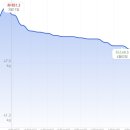 멍캣 | 매직팔뚝캣 1회차 후기 여름 대비 팔뚝 지방분해주사로 라인 정리 시작!