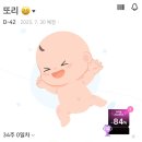 베이비독 | 임신후기일기(32주~35주) | 신생아침대고민, 이름정하기, 백일해무료접종, 역아 돌리기
