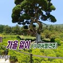 가을 앓이 / 詩 이서정(연주), 가을비 서성이는 늦은 아침... 이미지