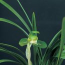 곡성-014 이미지