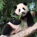 광주광역시 우치동물원 동물병원 이미지