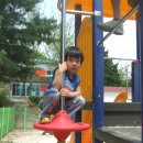 궁평초등학교....2 이미지