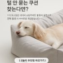 펫토 | 펫토 알러프리 강아지방석 털 안 묻는 쿠션 찾는다면?