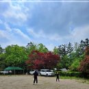 수목원 | 서울 근교 캠핑 명소 경기도 광주 금원수목원 후기, 자연 속에서 고기 굽고 힐링한 하루