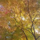 부평공원1 이미지