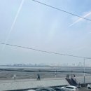 오이도칼국수 | [오이도] 오이도칼국수맛집, 바담칼국수 오이도 본점 방문후기