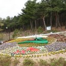 고래놀이터 이미지