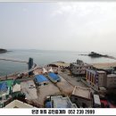 진하공인중개사사무소 이미지