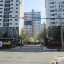 장승남로 이미지