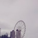 삼산메밀옹심이칼국수