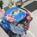 소희헤어샵 - 중구 | 소희헤어샵