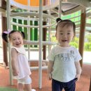 작은천사어린이집 이미지