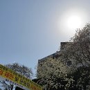 뚜레쥬르 당감점 네이버블로그