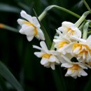 한림공원 이미지