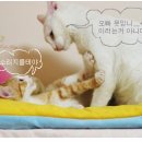 야