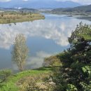 필재기사식당 이미지