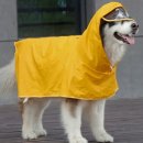 옷개비
