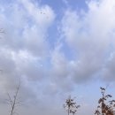 누리 | 파주 평화누리 캠핑장 쉘터존 후기