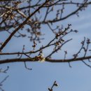 장미아파트 이미지