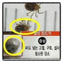 대풍건재 이미지