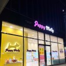 부산강아지분양 퍼피몰리 | 부산강아지분양 퍼피몰리 방문 후기