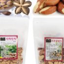 신선맘