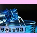 운정W동물병원 네이버블로그