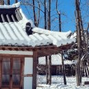오케이여행