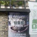 포르피노열세번째이야기 이미지